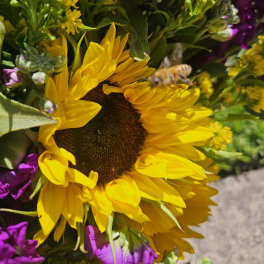 Close-up bouquet with a large yellow sunflower and purple flowers