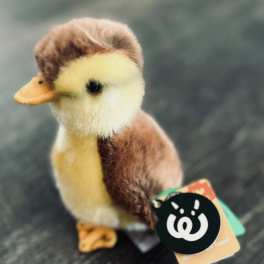 Plush Mallard Duckling