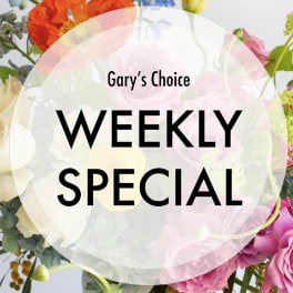 Designer's Choice Weekly Special