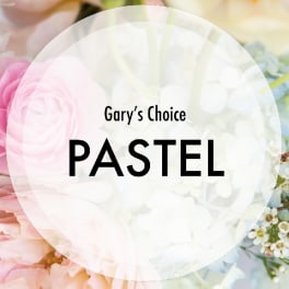 Designer's Choice Pastel