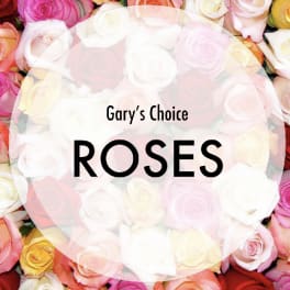 Designer's Choice Roses
