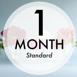 Weekly Flower Subscription - 1 Month
