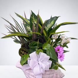 Mixed tropical plant arrangement in a pink shell-shaped container with a white bow