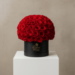 Round arrangement of red roses in a black hatbox