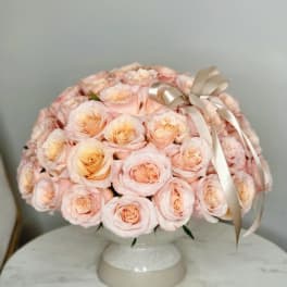 Peach Roses Weeding