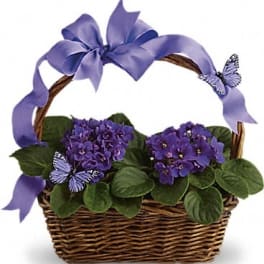 Purple flowering plant in a wicker basket with a ribbon bow and butterfly decorations