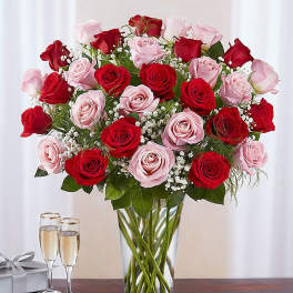 Bouquet of red and pink roses in a clear glass vase