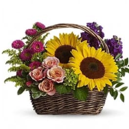 Basket arrangement with sunflowers, pink roses, and purple flowers