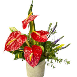Red anthuriums arranged in a beige vase with purple spikes