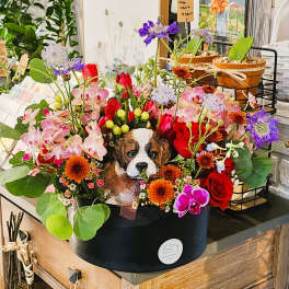 Colorful flower arrangement with a puppy figurine in a black box