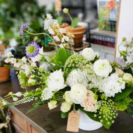 White and pale green floral arrangement in a white container