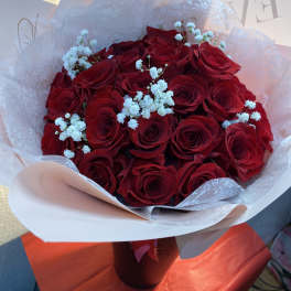Bouquet of red roses with white baby's breath in white wrapping