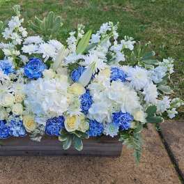 Blue and white floral arrangement in a rectangular planter outdoors
