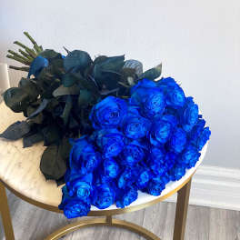 Bouquet of vivid blue roses with dark foliage