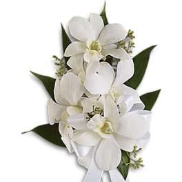 White orchid bouquet with ribbon and dark green leaves