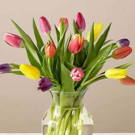 Mixed-color tulip bouquet in a clear glass vase on a light-colored surface.
