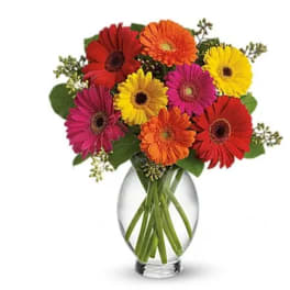 Bouquet of colorful gerbera daisies in a clear glass vase