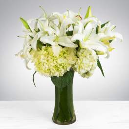 White lilies and pale hydrangeas arranged in a tall glass vase