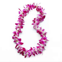 Pink and white orchid lei on a white background