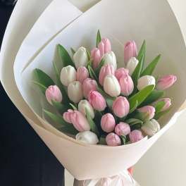 Bouquet of pink and white tulips wrapped in cream paper