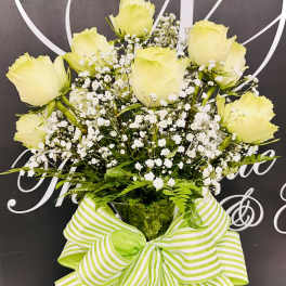 Bouquet of pale yellow roses with white baby's breath and a striped ribbon