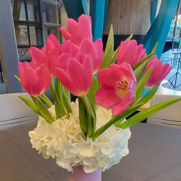 Pink tulips arranged in a pink vase with white flowers at the base