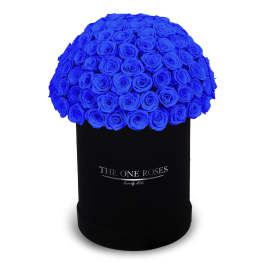 Blue rose bouquet in a black cylindrical box