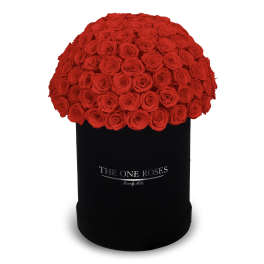 Large dome of red roses in a black hatbox
