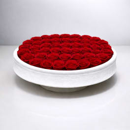 Round white bowl filled with tightly packed red roses