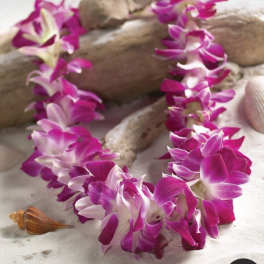 Purple and white orchid lei on sand with seashells