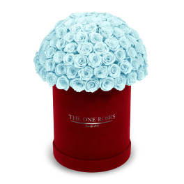 Light blue roses arranged in a red round box