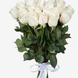 Bouquet of white roses tied with a white ribbon