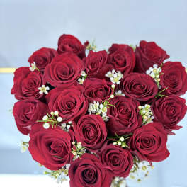 Bouquet of deep red roses with small white filler flowers