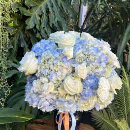 White roses and blue hydrangeas in a dark vase with ribbon