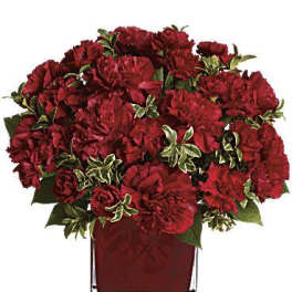 Red carnations arranged in a square glass vase