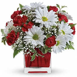 Red carnations and white daisies in a clear glass vase