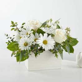 White daisies and roses arranged in a white rectangular box