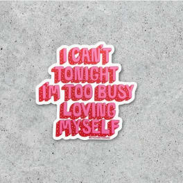 I Can't Tonight I'm Too Busy Loving Myself