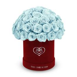 Light blue roses arranged in a red round box