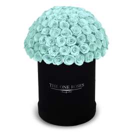 A dome of aqua roses in a black cylindrical box