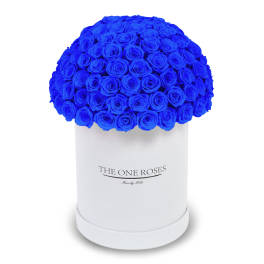 Blue rose bouquet in a white cylindrical box
