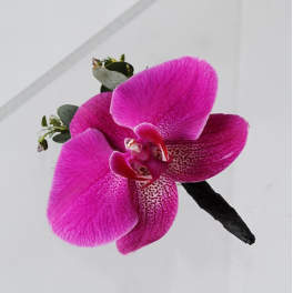 Bright pink orchid boutonniere with small greenery