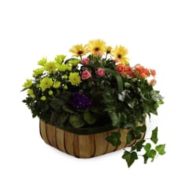 The FTD Gentle Blossoms Basket