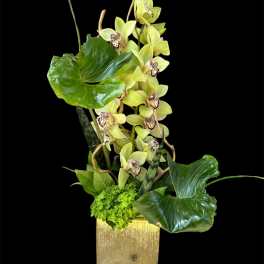 Yellow orchids in a gold square vase with large green leaves