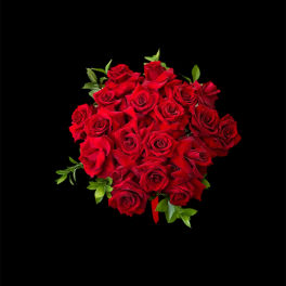 Bouquet of red roses with small green accents on a black background