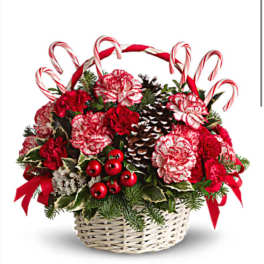 Basket of red carnations with candy canes and pinecones