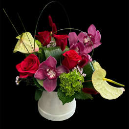 Arrangement of red roses, purple orchids, and pale anthuriums in a white vase