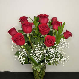 Dozen Long Stemmed Roses with Baby's Breath by Chasing Petals