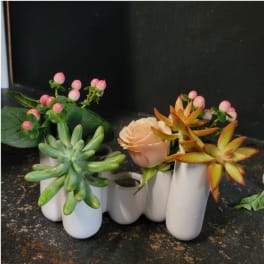 Small succulent and rose arrangement in white ceramic vases