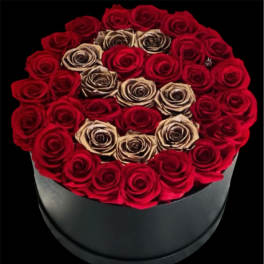 Round box of red and beige roses on a black background